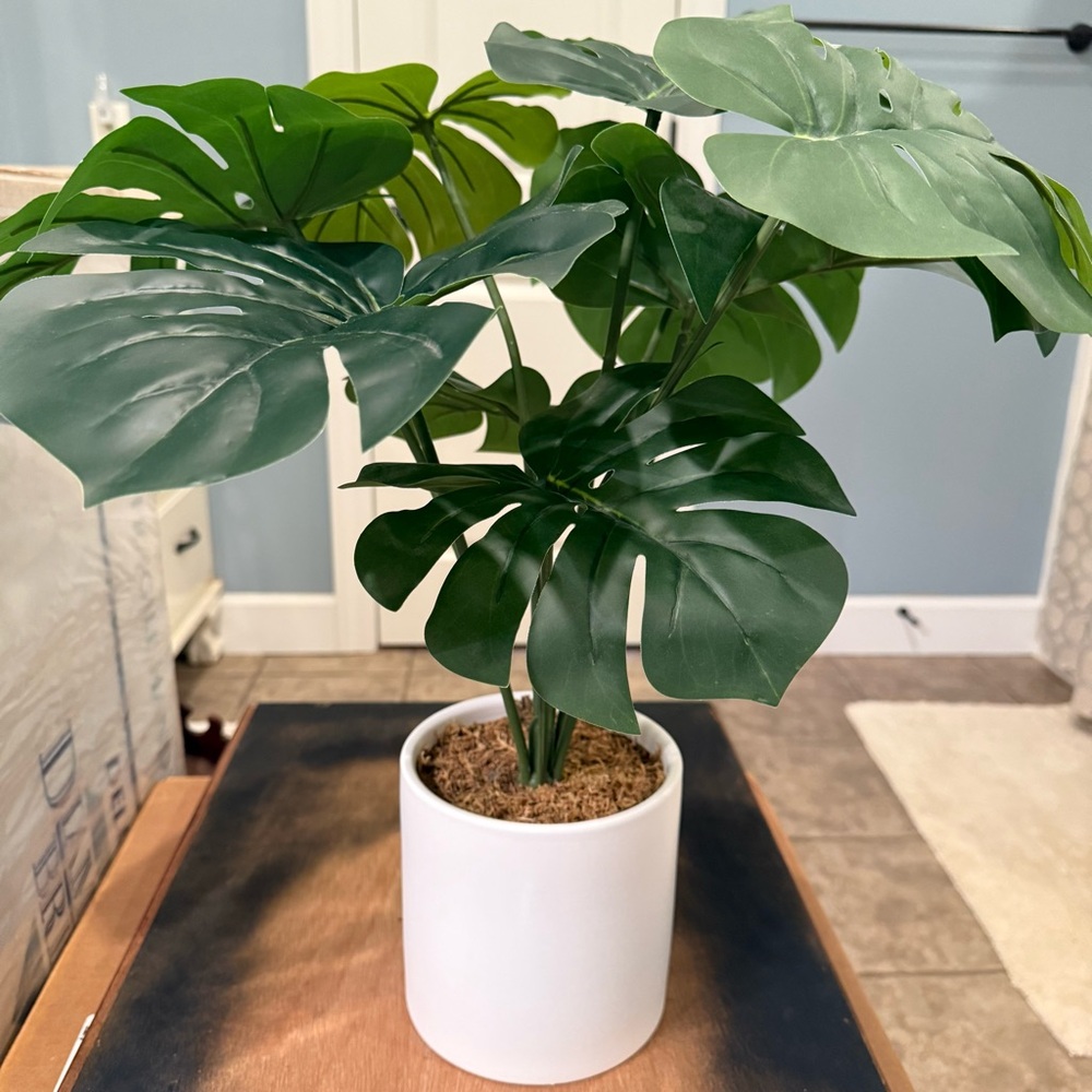 🪴 Faux Monstera Plant - Picture 7 of 12